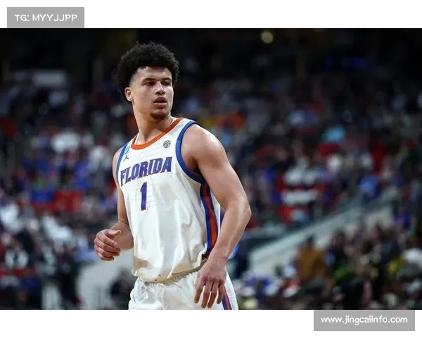 黄蜂内线危机持续，卡尔克布伦纳、普拉姆利伤缺迫使阵容调整